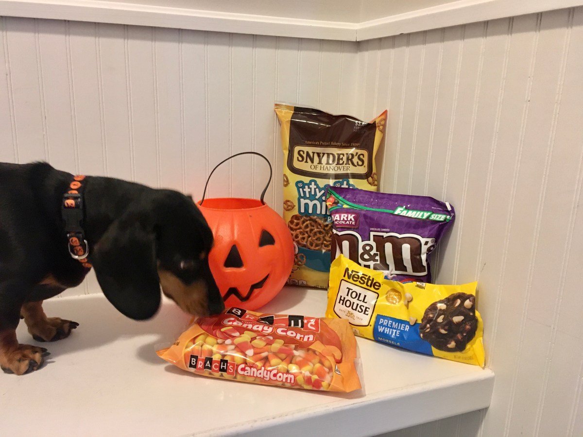 Halloween Candy Bark&nbsp;(Repost)