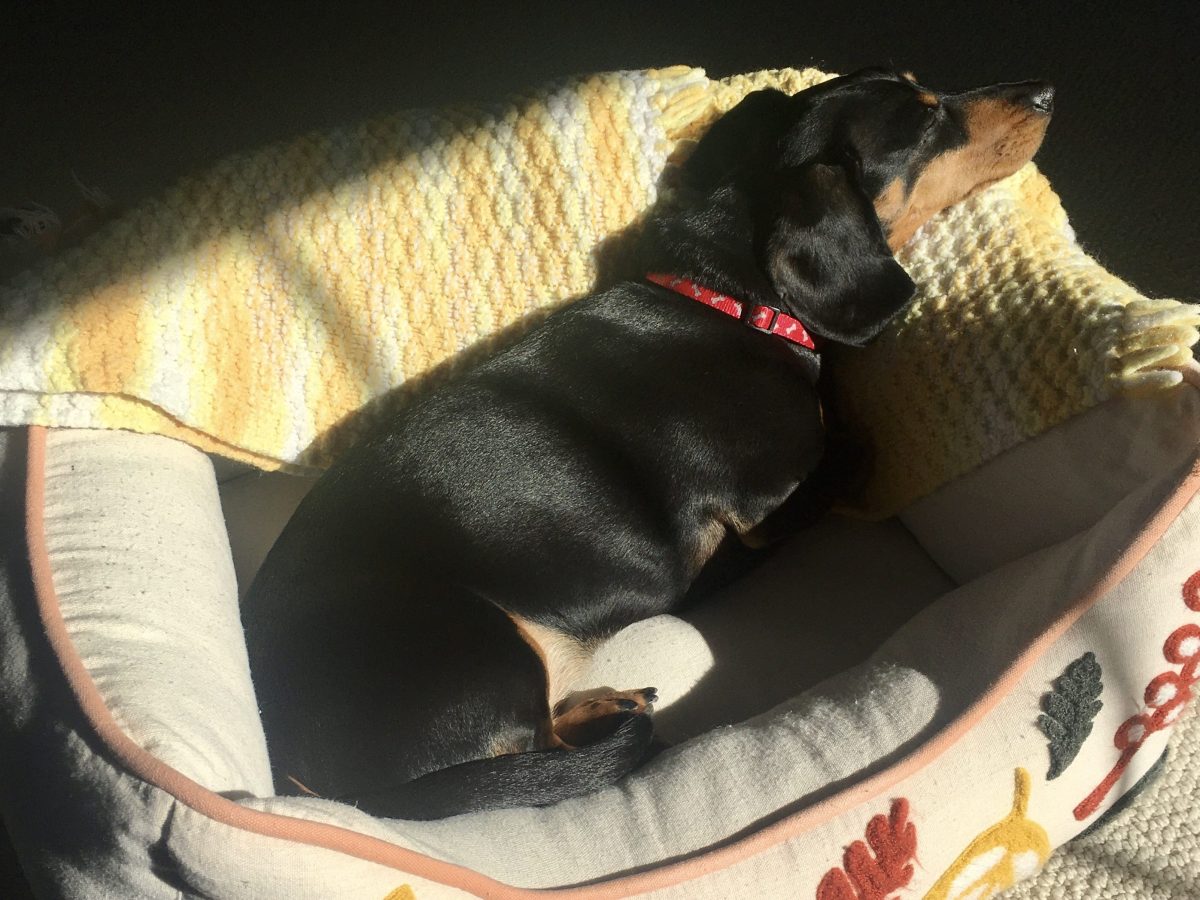 Self-Care in the New&nbsp;Year