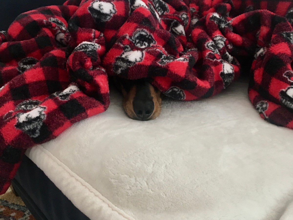 Yoga Tips for the (Home)&nbsp;Office