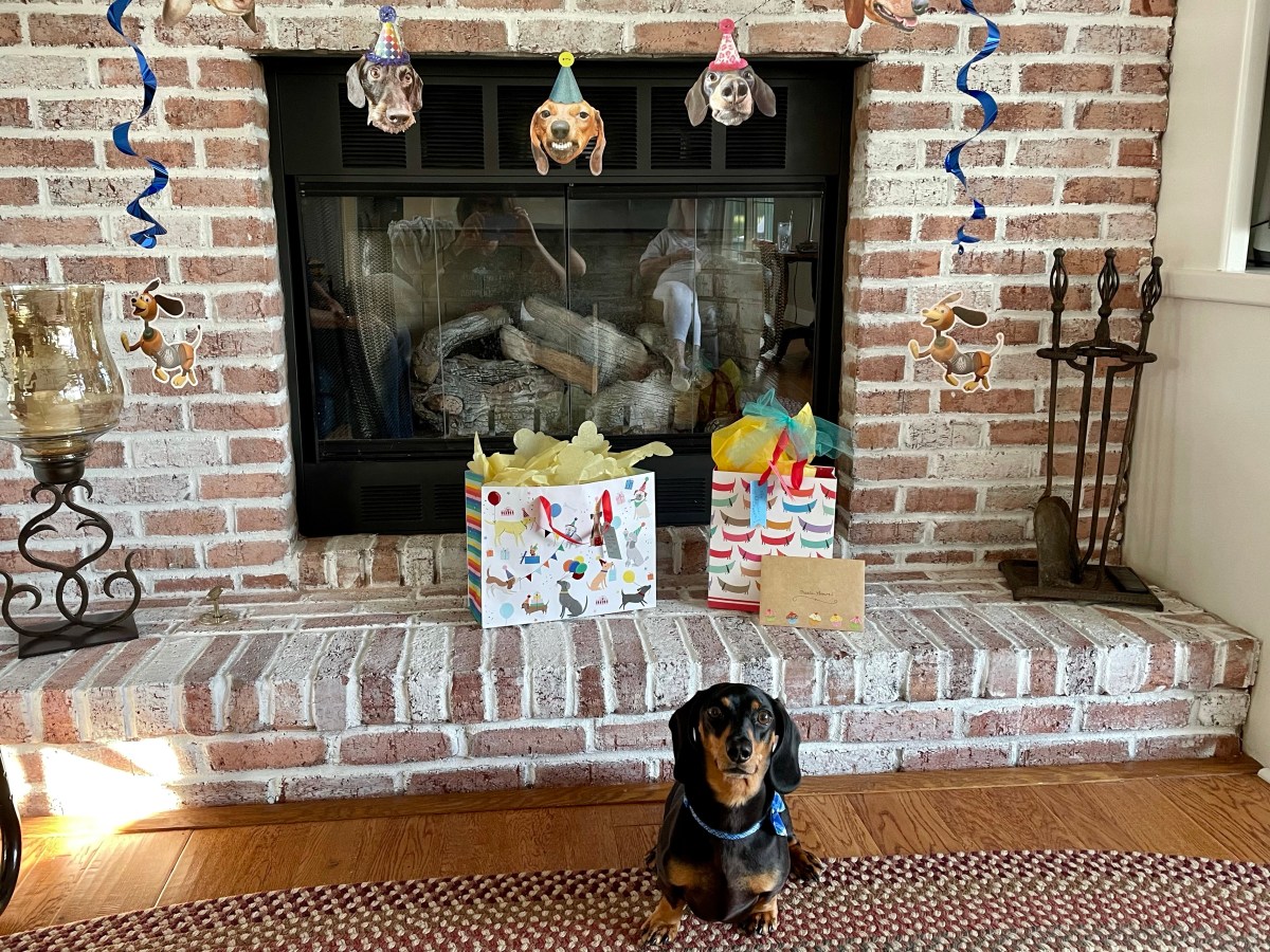 Oktoberfest Birthday Party for&nbsp;Dachshund