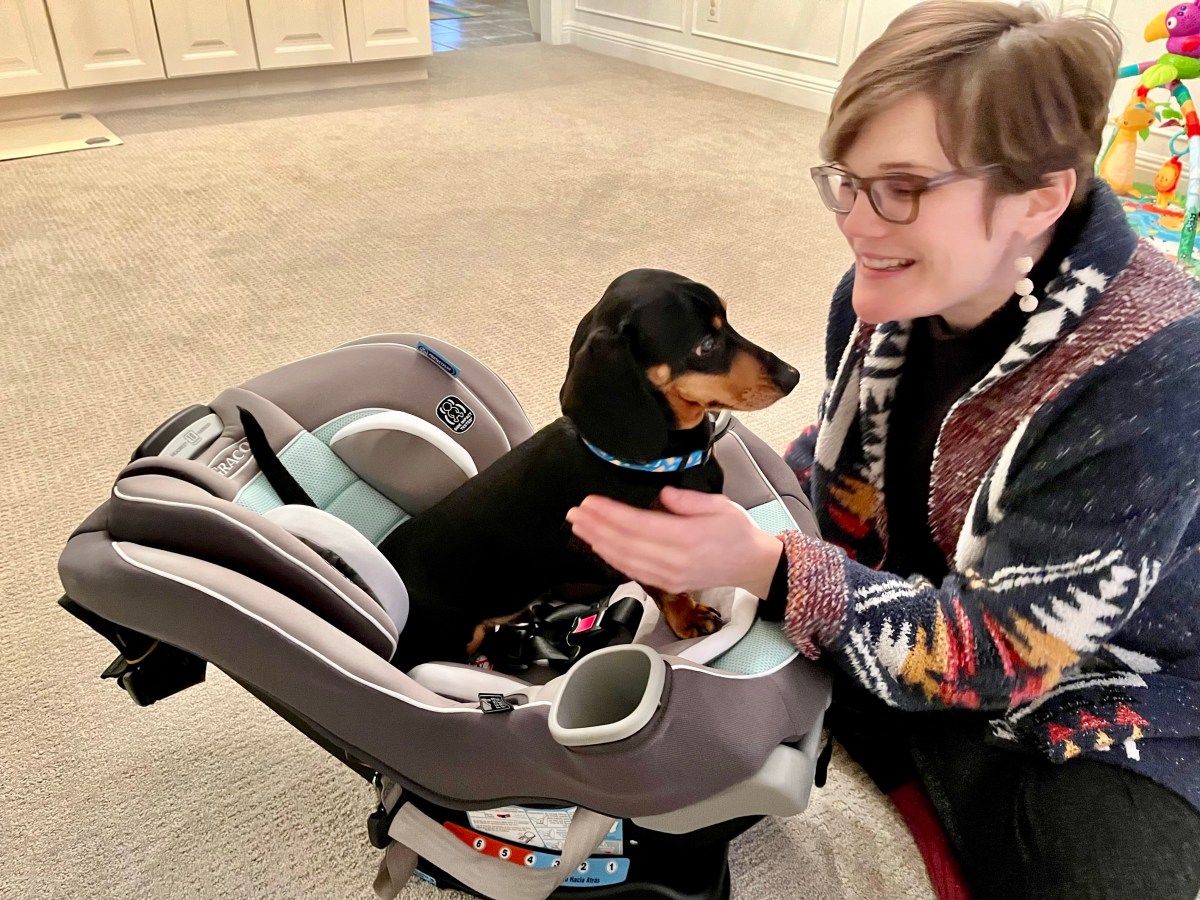 A Dachshund-Approved Car Seat (and More Baby&nbsp;Gear)