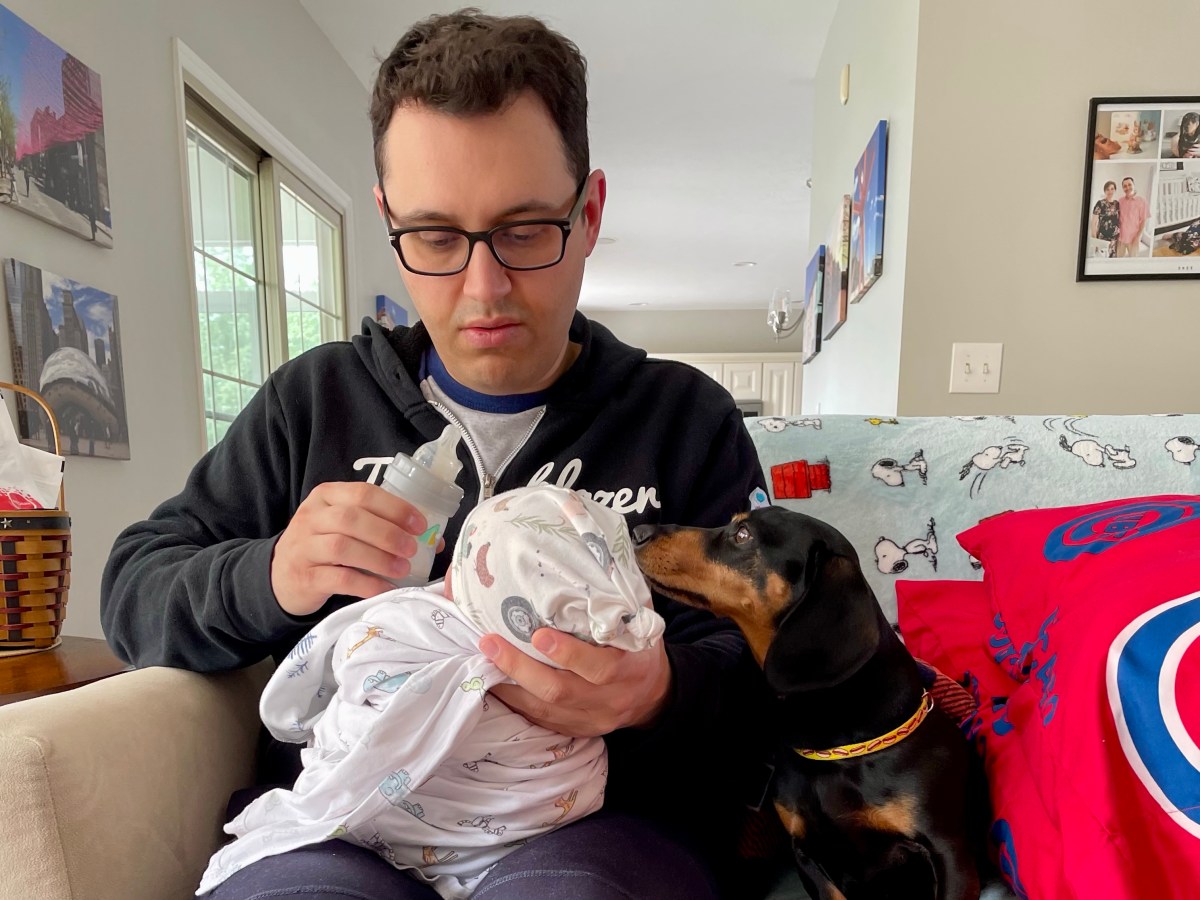 A Dachshund and His&nbsp;Baby