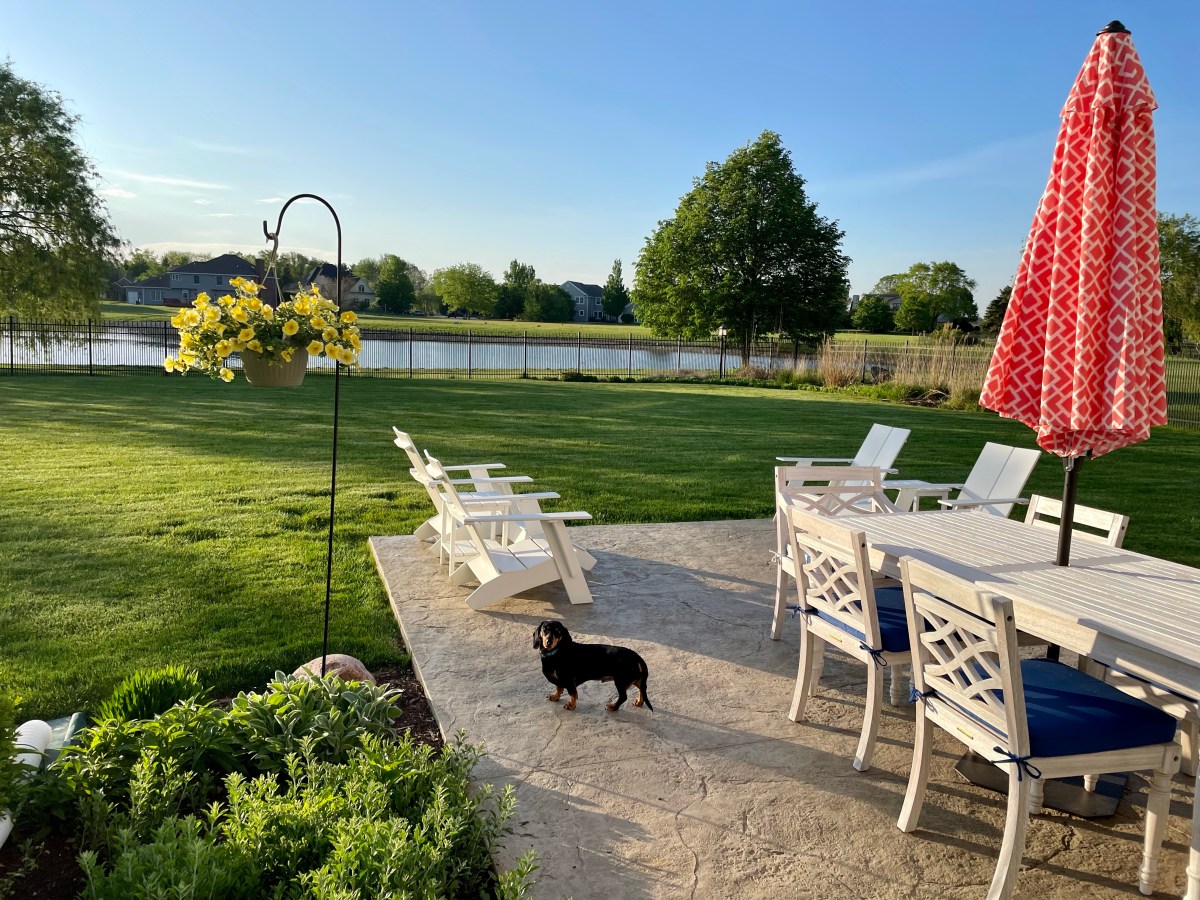 Back from Hiatus and Ready for&nbsp;Summer