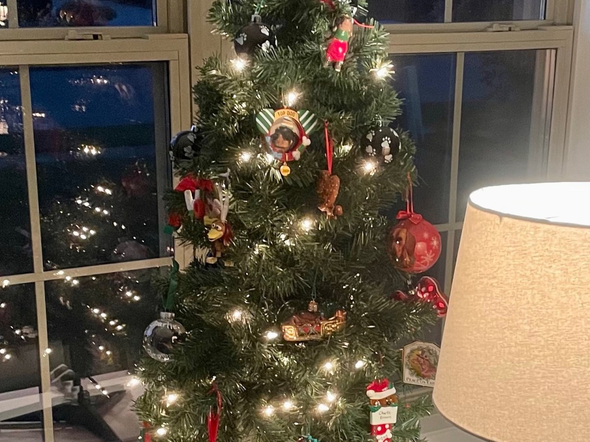 The Twelve Days of Katiemas Has&nbsp;Begun