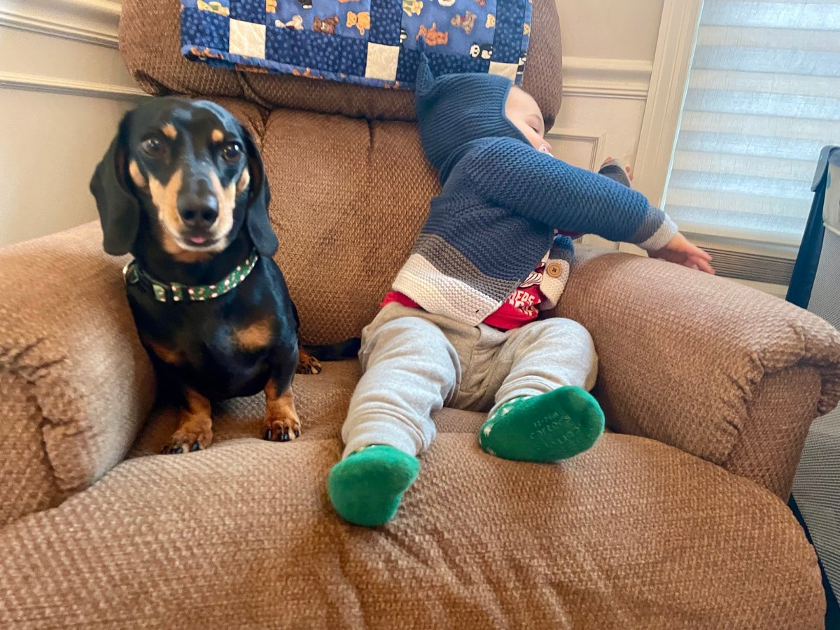 On the Twelfth Day of Katiemas, I Tried to Take a Family&nbsp;Photo